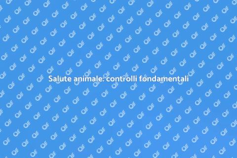 Controllo salute animale domestico