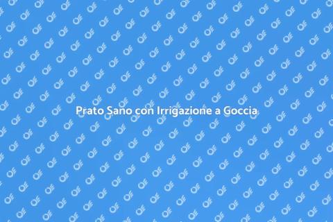 Irrigazione a Goccia: Prato Sempre Verde