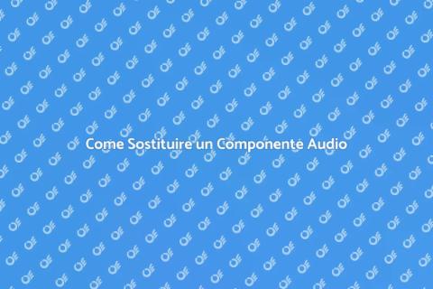 Sostituzione Componente Impianto Sonoro