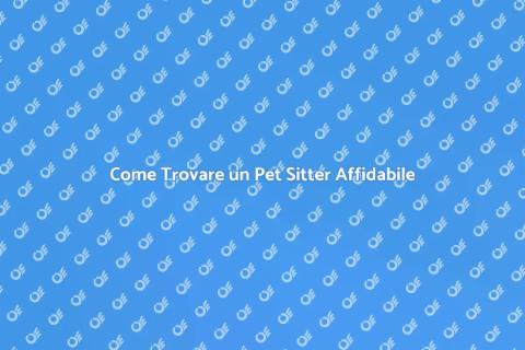 Pet Sitter Esperto: La Guida Completa