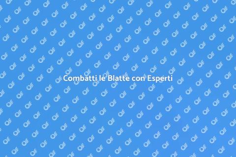 Disinfestazione Blatte: Soluzioni Efficaci