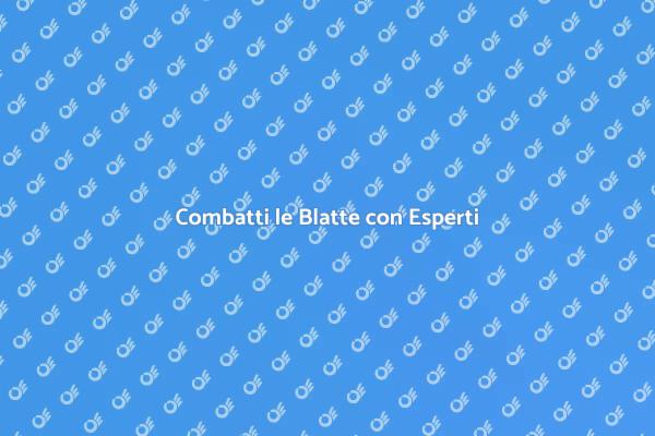 Disinfestazione Blatte: Proteggi la Tua Casa