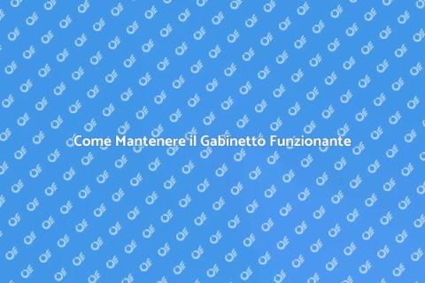 Manutenzione Scarico Gabinetto Efficace