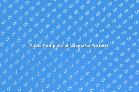 Consulenza Completa per Acquari