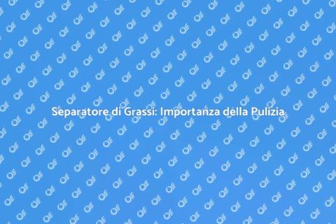 Pulizia Separatore di Grassi Essenziale