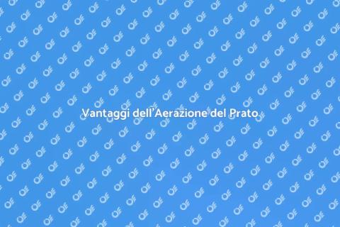 Aerare il Prato: Servizi a Noleggio