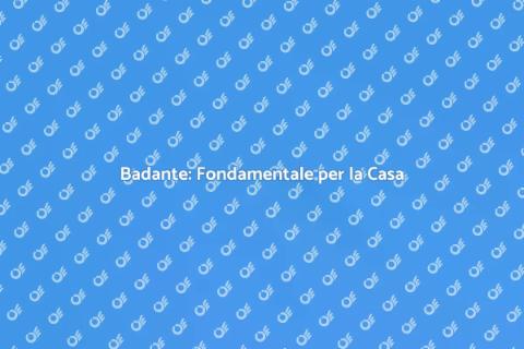 Badante con Capacità di Gestire Casa