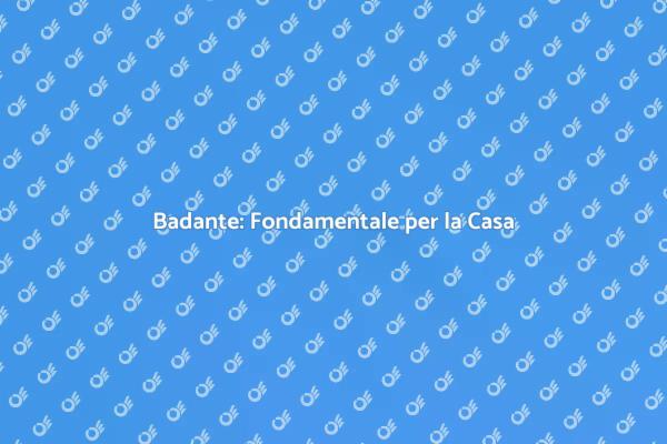Badante: Assistenza e Gestione Domestica