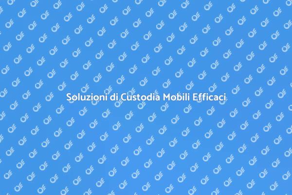 Custodia Mobili: Spazio e Sicurezza