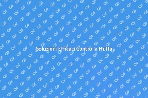Protezione Duratura Contro Muffa