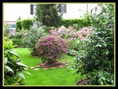 Cianti Giampaolo Giardinaggio  - Foto 2