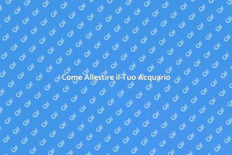 Allestire un Nuovo Acquario Facile