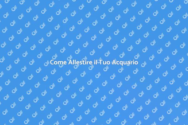 Guida all'Allestimento di un Acquario