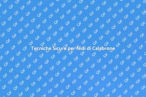 Rimozione Nidi di Calabrone Sicura