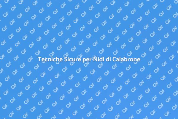 Rimozione Sicura di Nidi di Calabrone