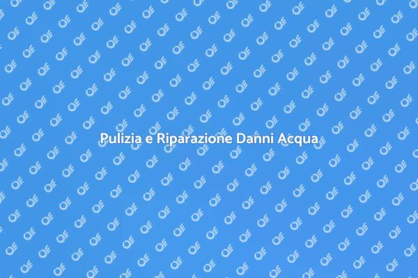Gestione Professionale Danni Acqua