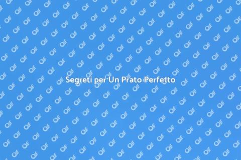 Il Prato Perfetto: Guida Completa