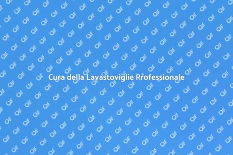 Manutenzione Lavastoviglie Professionale
