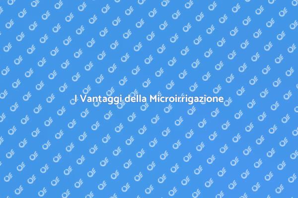 Microirrigazione: Risparmia nel Giardino