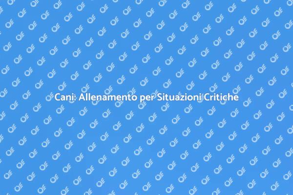 Allenare i Cani a Reagire in Emergenza