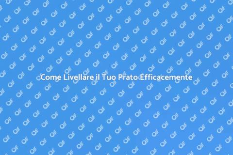 Livellamento del Prato: Guida Pratica