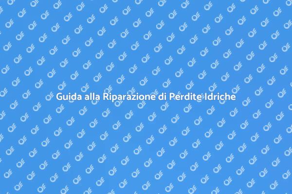 Come Riparare Perdite Rete Idrica
