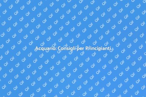 Comprare un Acquario: Guida Completa