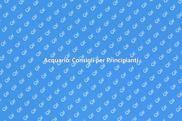 Comprare un Acquario: I Consigli Chiave
