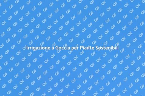 Impianto di Irrigazione a Goccia
