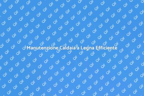 Assistenza Caldaia a Legna: Scopri di Più