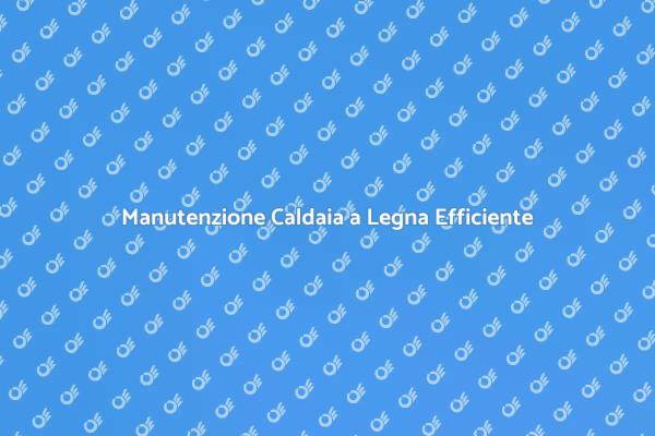 Manutenzione Esperta per Caldaie a Legna