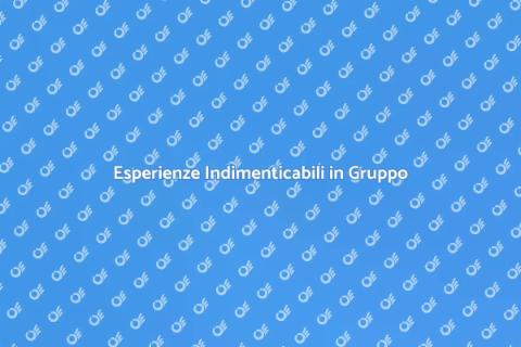 Guida Turistica per un Gruppo