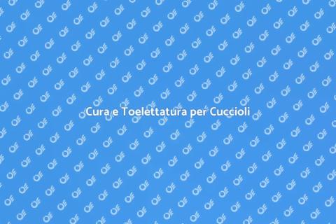 Toelettatura per Cuccioli di Cane