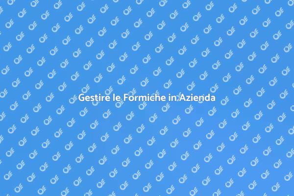 Formiche in Azienda? Ecco come Risolvere