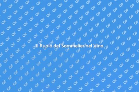 Un Sommelier: Arte e Passione del Vino
