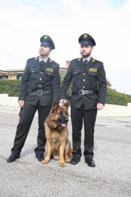 Security Global Srl  - Foto 4