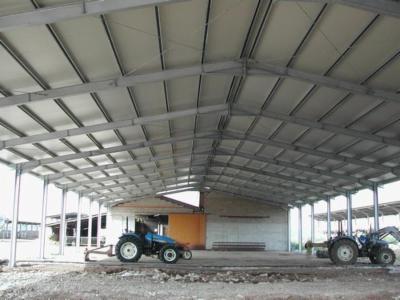 Primer  - Foto 8