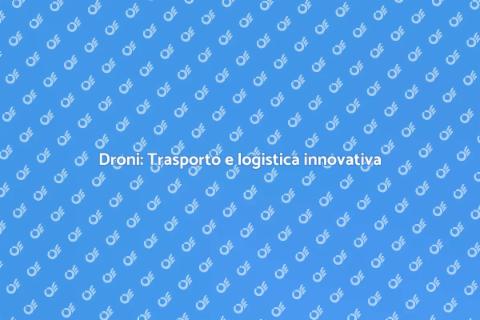 Trasporto e logistica per droni
