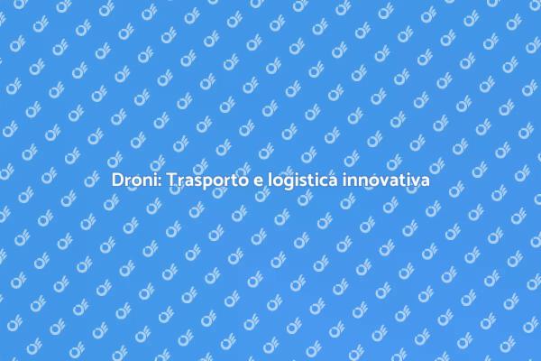 Futuro della logistica con i droni