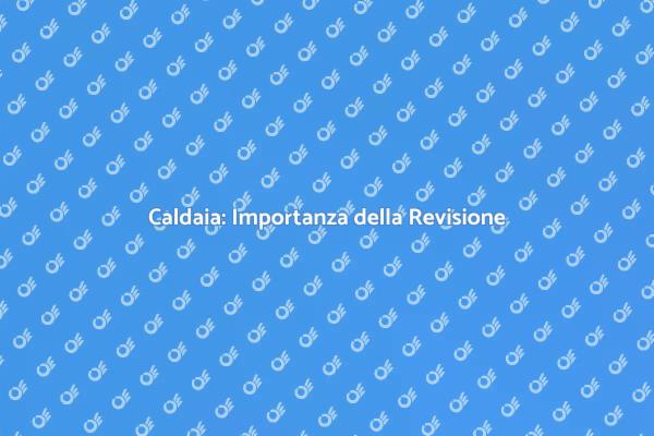 Sicurezza e Comfort: Revisione Caldaia