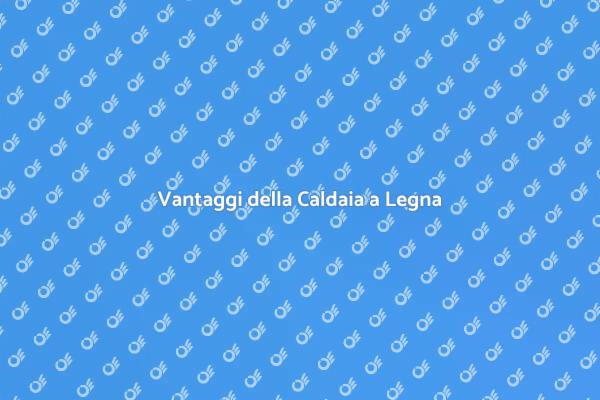 Caldaia a Legna: Una Scelta Sostenibile