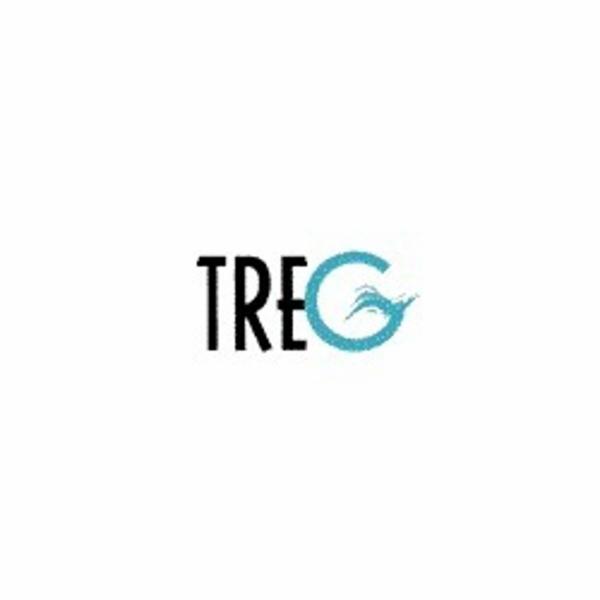 Tre G di Geri Enrico & Alessio S.n.c.  - Foto 1