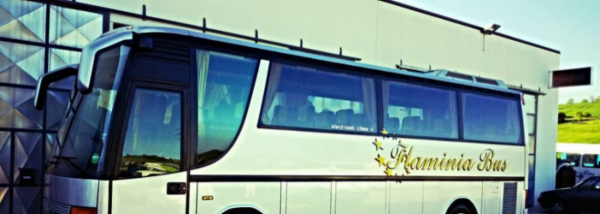 Flaminia Bus S.r.l. Autonoleggio  - Foto 3