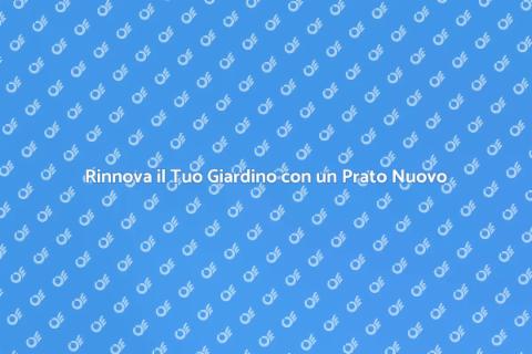 Piantare un Prato Nuovo per il Giardino