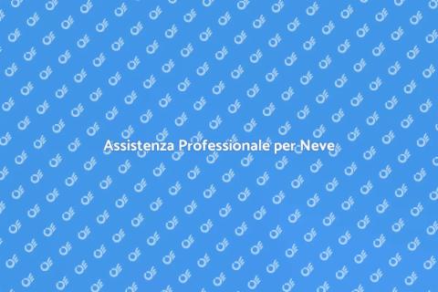Pulizia Neve: Assistenza Professionale