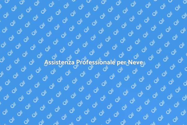 Pulizia Neve: Sicurezza Invernale