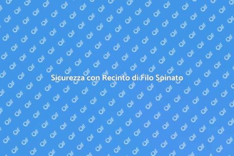 Recinto di Filo Spinato per Sicurezza