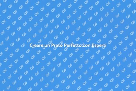 Stendere il Prato: Guida al Verde Perfetto