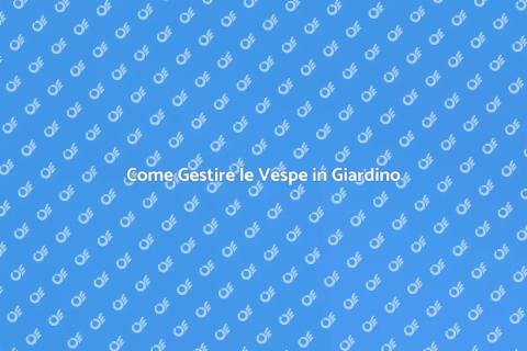 Valutazione Vespe: Guida Pratica