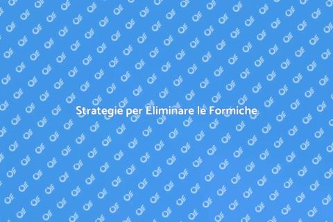 Eliminare le Formiche in Strutture